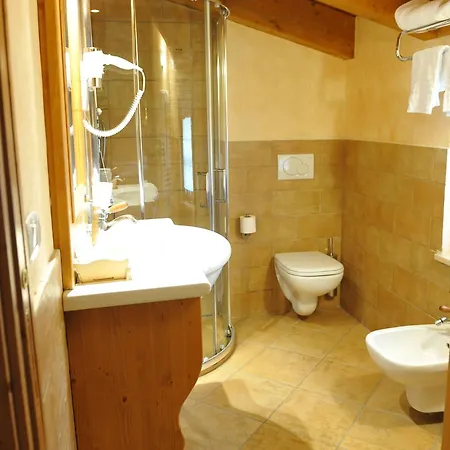 Hotel Garni Astoria & 3*